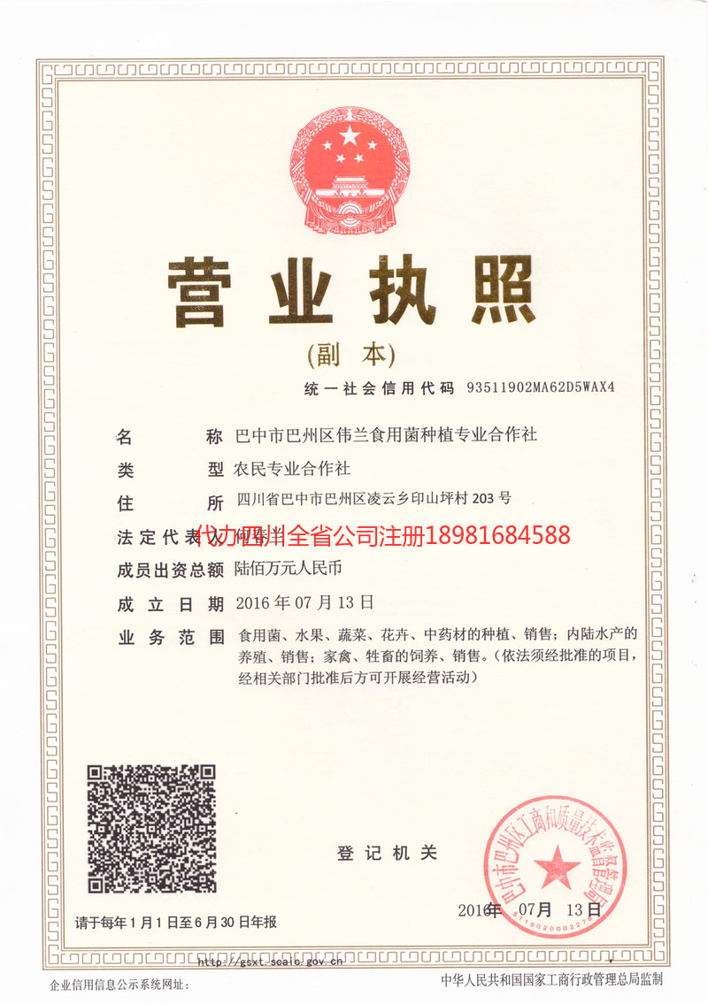 聊城聊城伟兰食用菌种植专业合作社